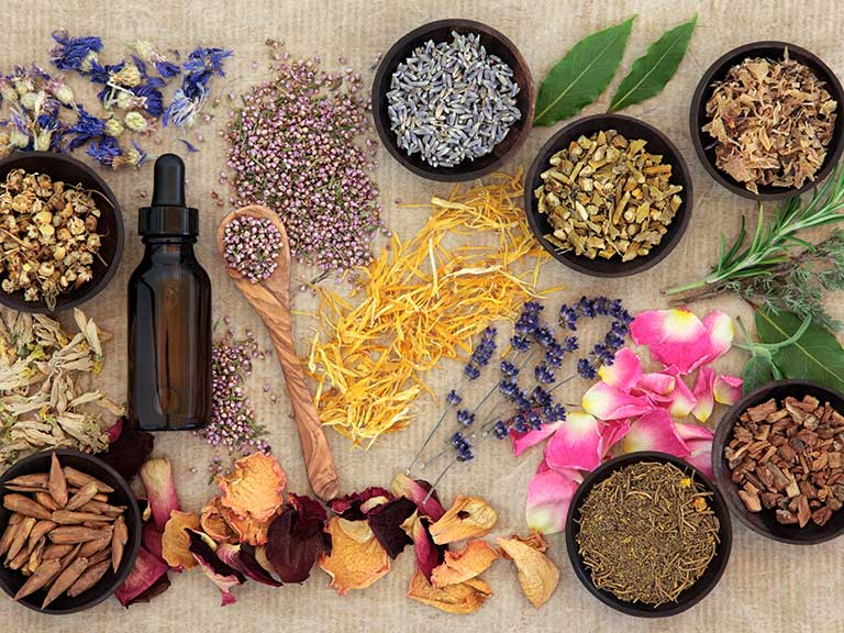 Herbal Remedies That Truly Work: 10 Powerful Ancient Cures Backed by Science herbal remedies